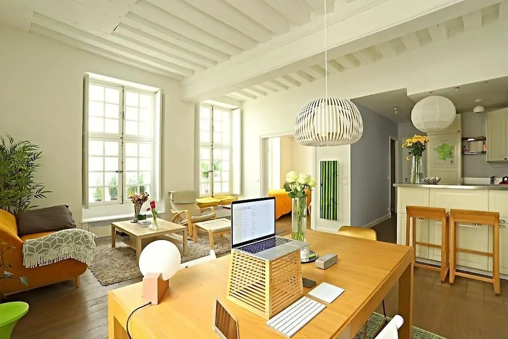 Luxurious Apartment In Le Marais Paris
